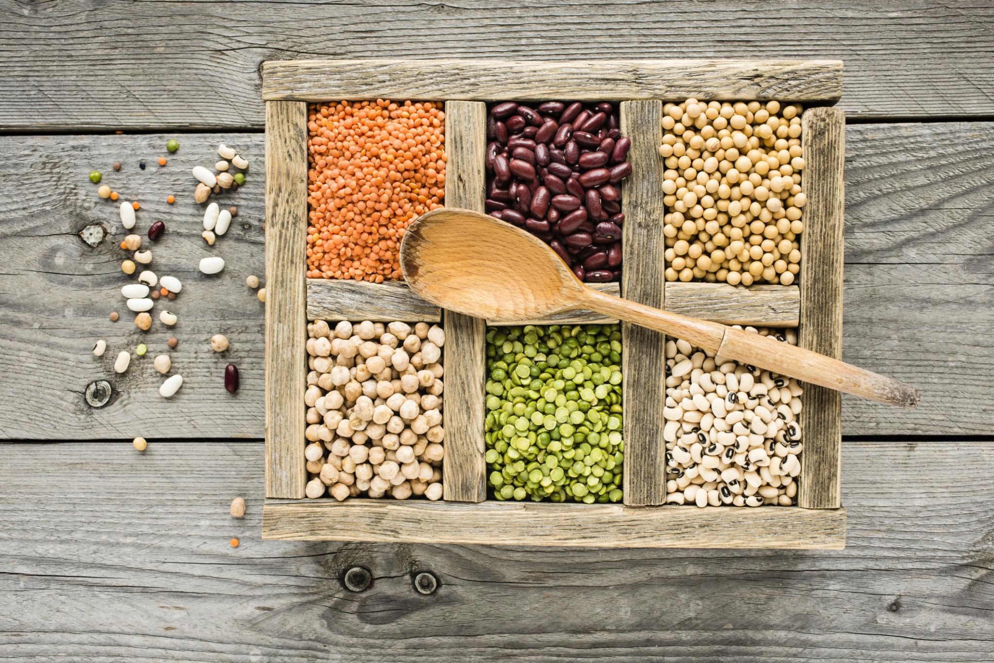 Agricultural supply setting with fields and grains
